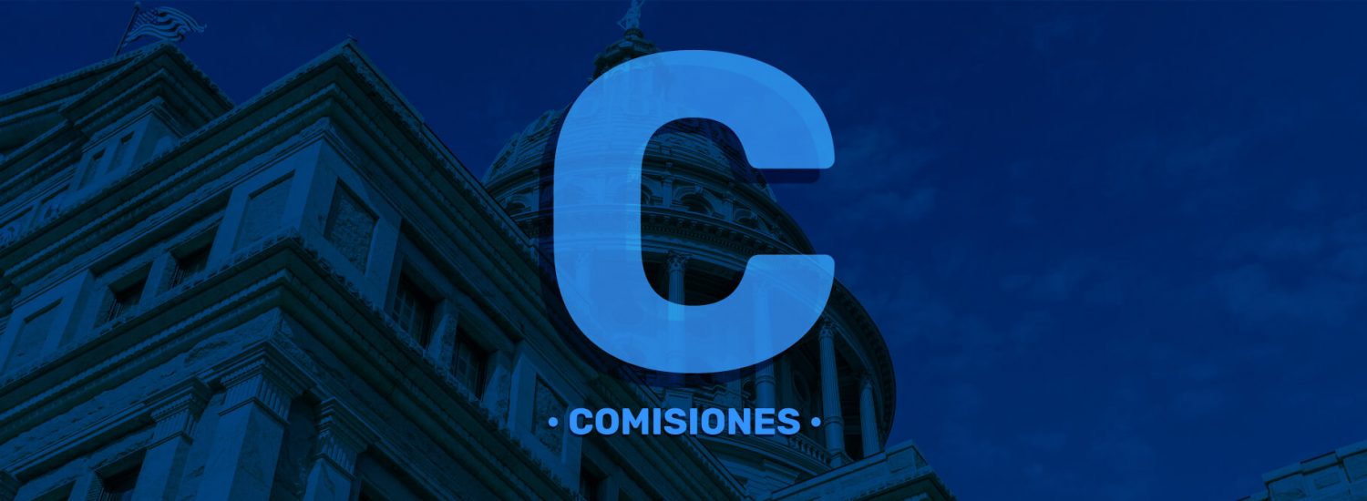 Categoría Comisiones - Instituciones Públicas